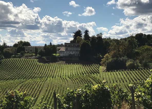 Gironde stone house in the heart of a hilly vineyard