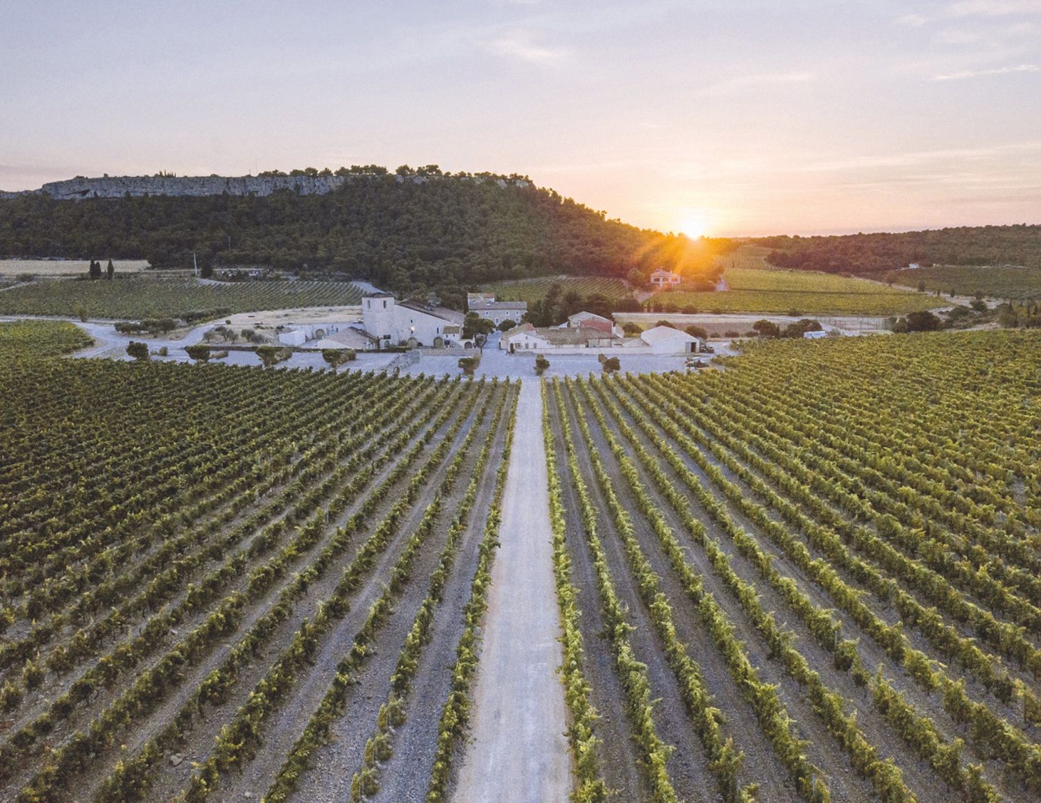 Château Wine & Spa 5*