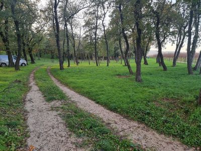 Terrain boisée et cloturé 