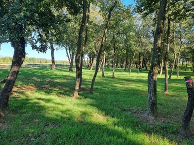 Terrain boisée et cloturé 