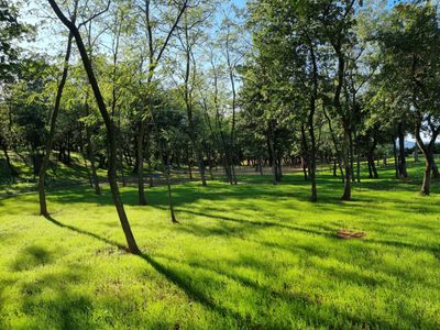 Terrain boisée et cloturé 
