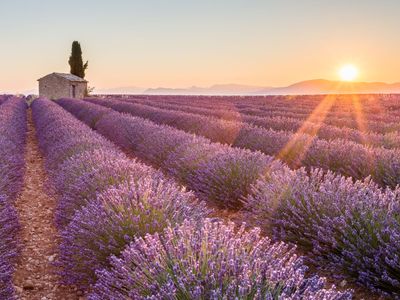 The wonderfull Cottage