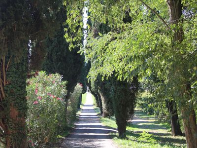 Magnificent wine château in the South of France