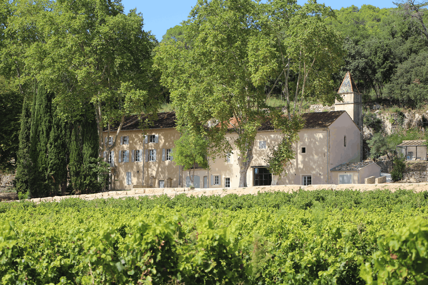 Magnifique Château viticole dans le Sud