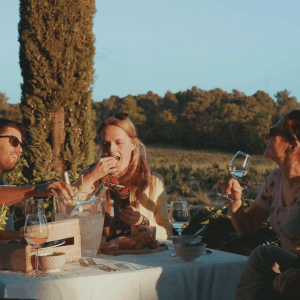 Provençal villa in the heart of the vineyards at the gates of Aix en Provence with 16 beds 