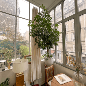 Artist Residence with Garden Terrace
