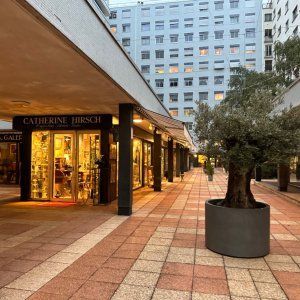 Gallery at the Swiss Village: Art Space for Events in Paris