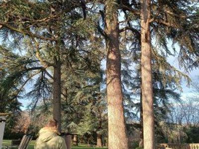 Meeting room for 15 people and adjoining outdoor spaces