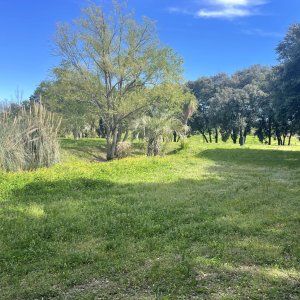 2 hectare private park 