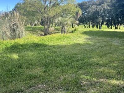 2 hectare private park 