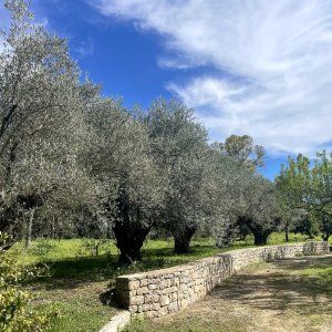 2 hectare private park 
