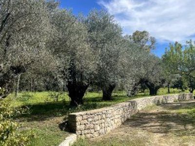 2 hectare private park 