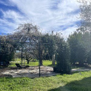 2 hectare private park 