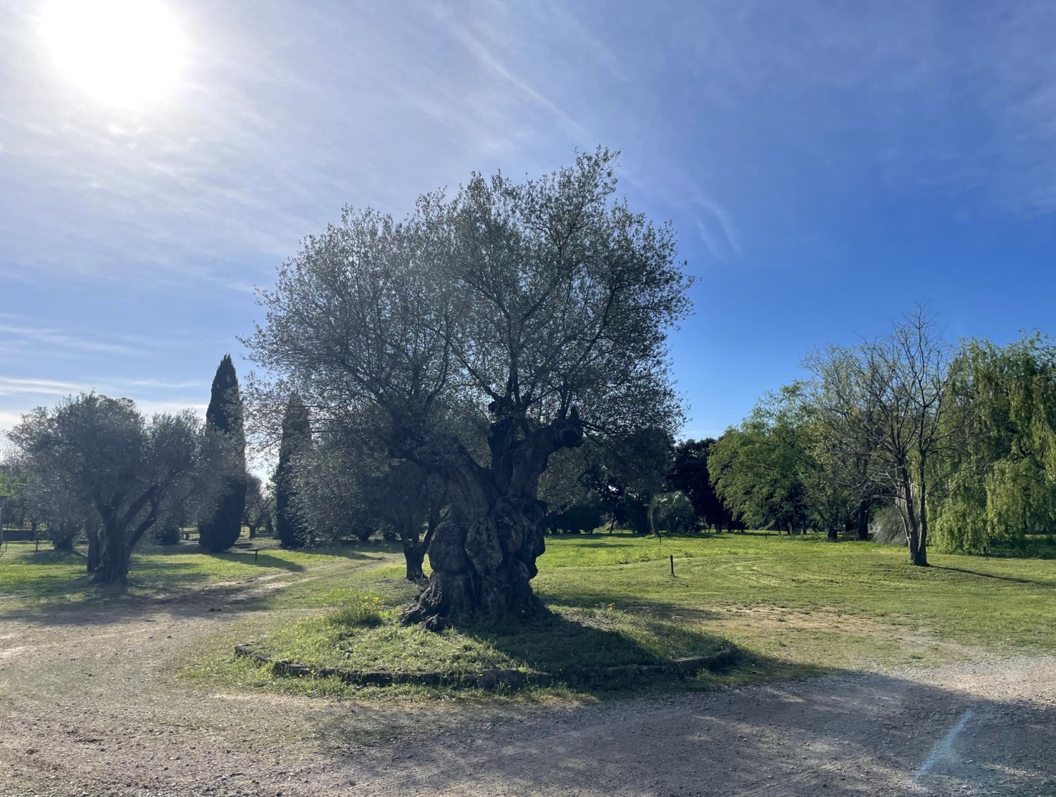 2 hectare private park 