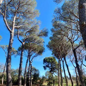 Château du Parc à Pézenas