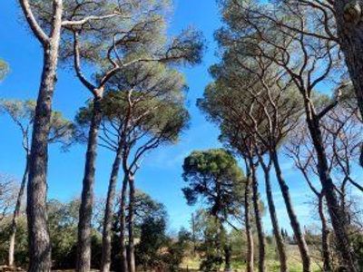 Château du Parc in Pézenas