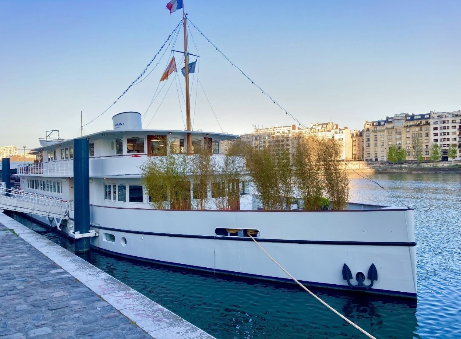 Boat in Paris at the foot of the Statue of Liberty with a view of the Eiffel Tower