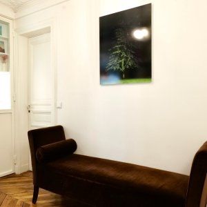 Appartement Parisien de Luxe pour Événements et Séjours