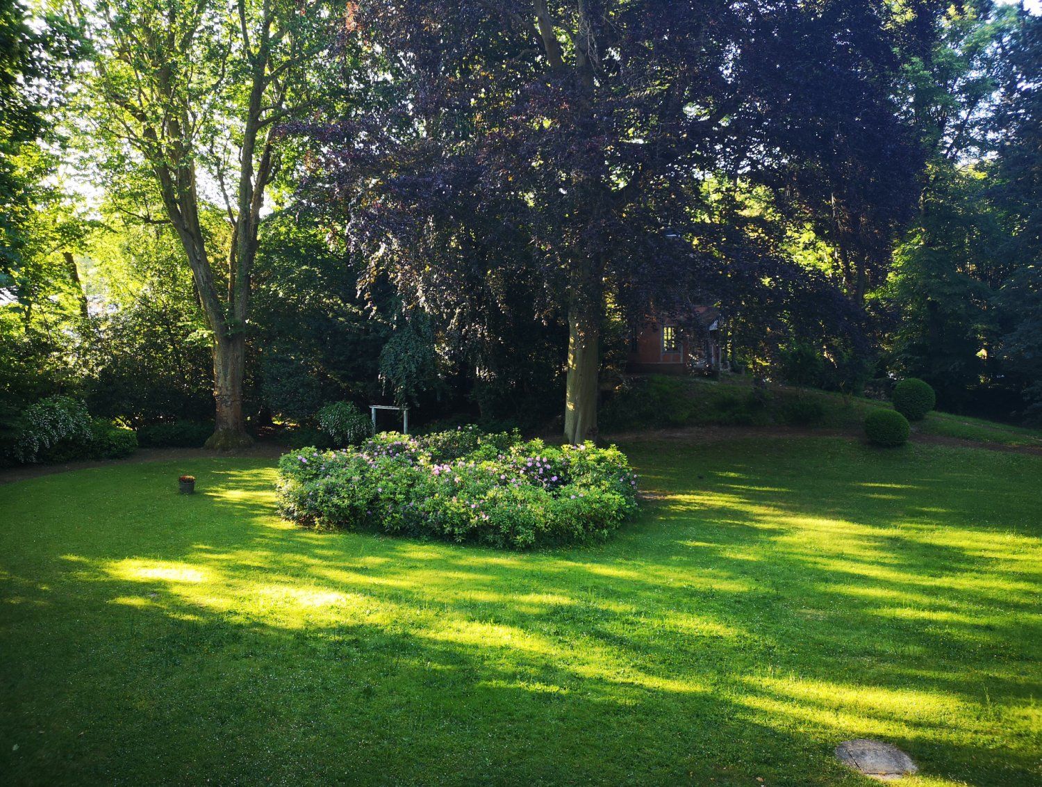 Exceptional classified garden