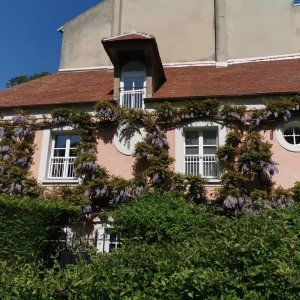 Exceptional classified garden