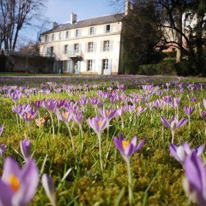 Exceptional classified garden