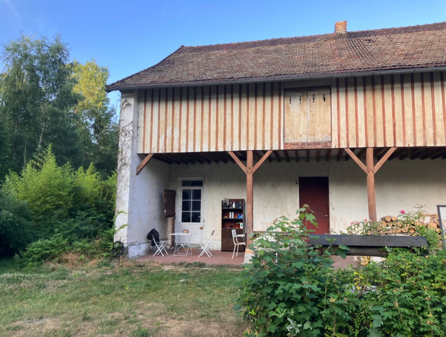 House in the forest 