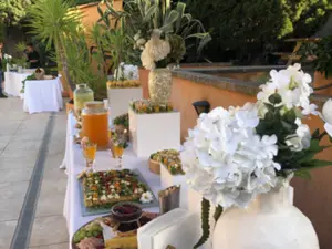 Jardin botanique dans une villa avec grande piscine/pool house et terrain de pétanque privé