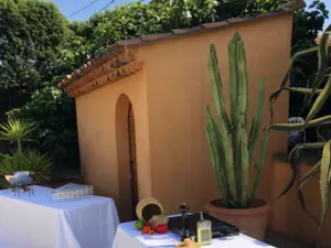 Jardin botanique dans une villa avec grande piscine/pool house et terrain de pétanque privé