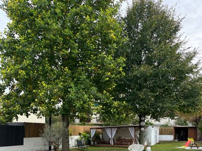 Family home with magnificent wooded garden