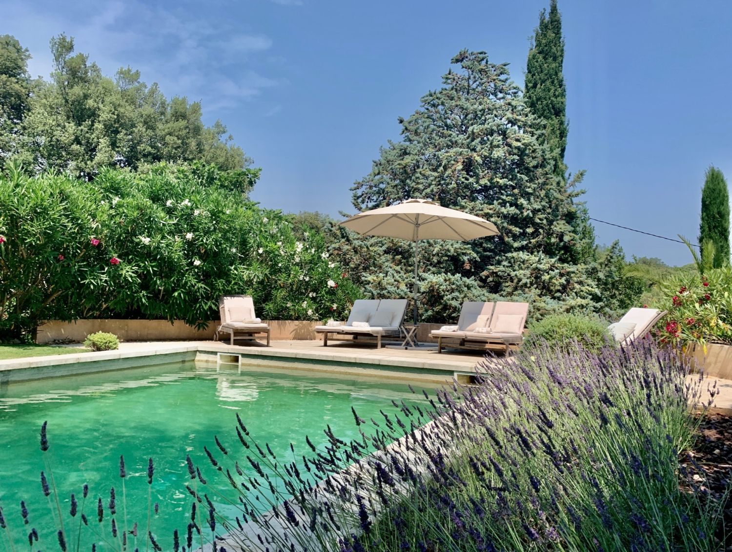 Domaine Provençal avec Piscines Privées et Vues sur les Vignes