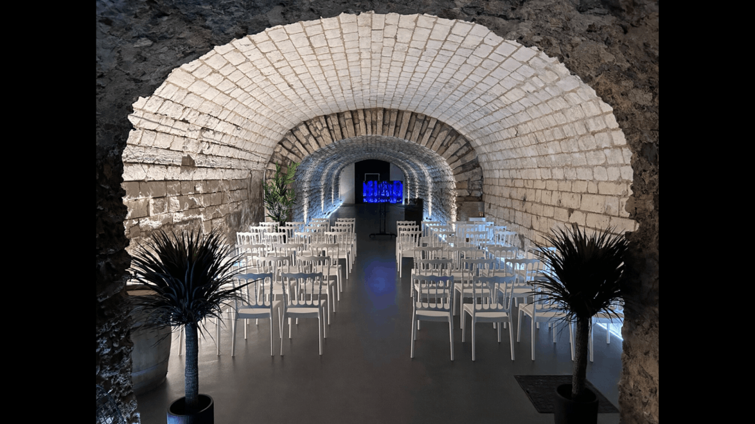Champagne House - Historic Crayère Gallery 