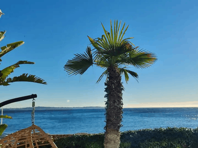 Sea-View Cannes Garden Apartment with Terrace in Palm Beach