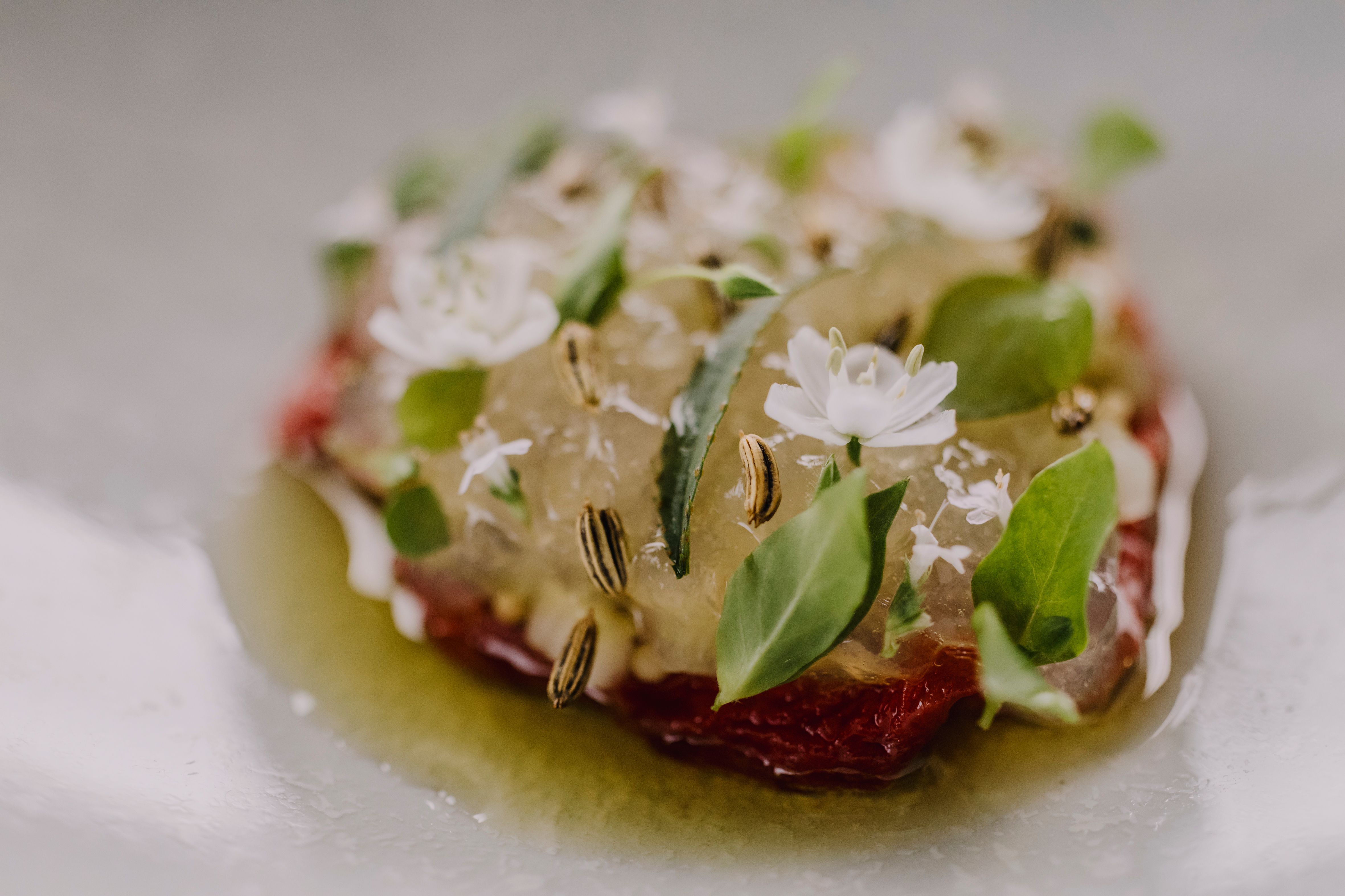 Luxury Burgundy Estate: High-End Events in Nature