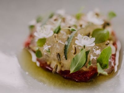 Luxury Burgundy Estate: High-End Events in Nature