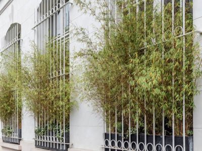 Exceptional 300m² Loft Near Latin Quarter