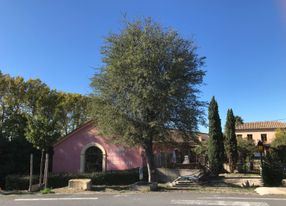 Charming bistrot in a former wine cellar