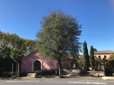 Bistrot de charme dans une ancienne cave à vin