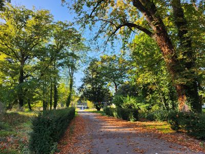 Castle in a 4 ha park 