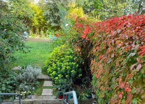 Townhouse with garden in Paris