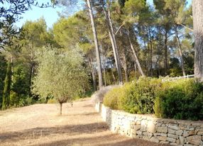 Large estate in Castellet