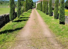 Old renovated family farm with swimming pool