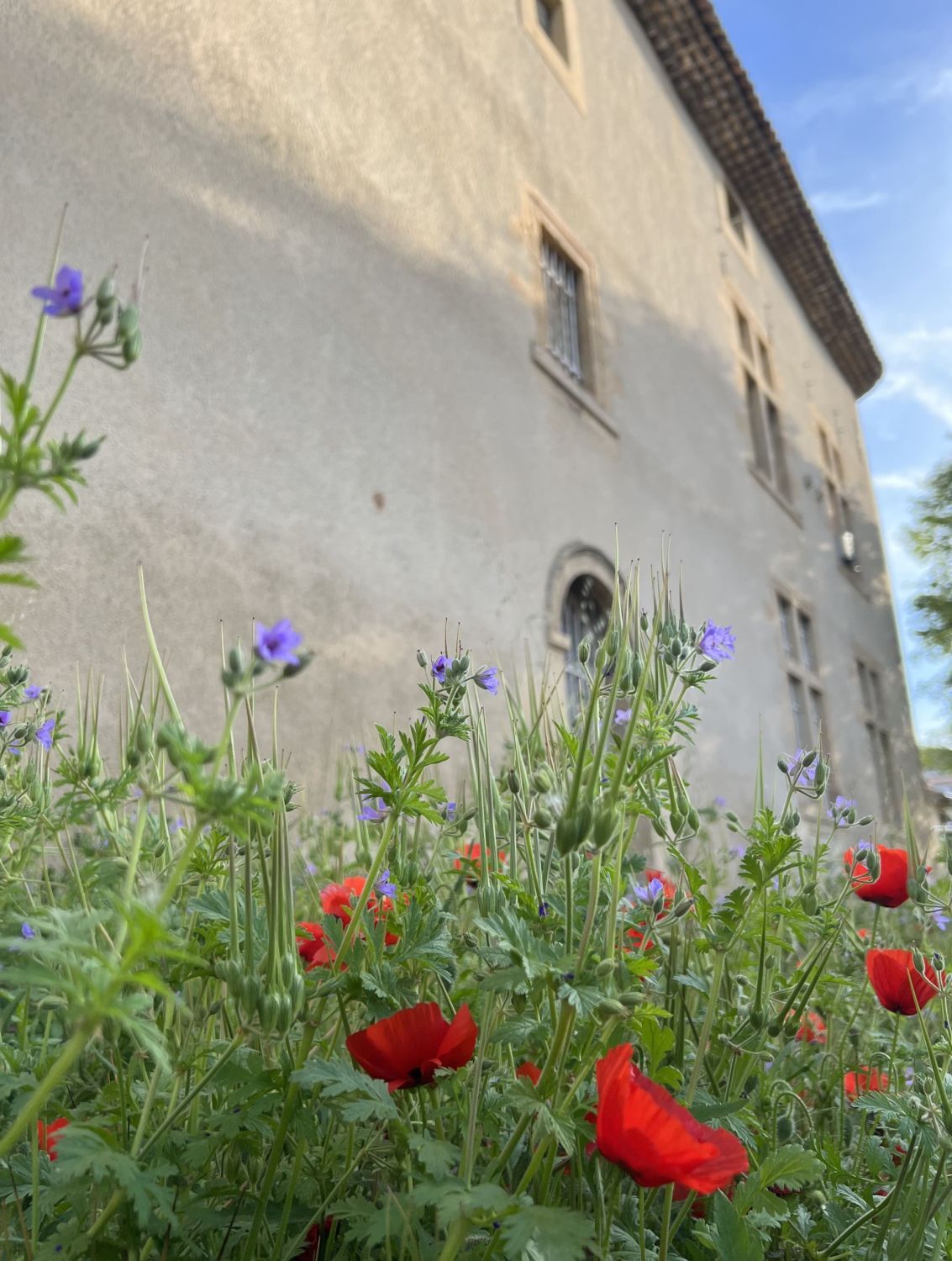 Meeting room rental in a wellness center in Aix-en-Provence