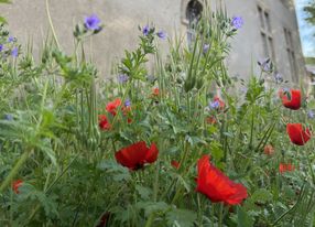 Meeting room rental in a wellness center in Aix-en-Provence