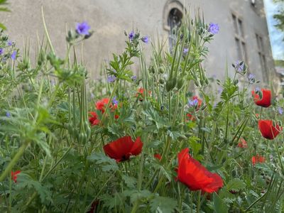Meeting room rental in a wellness center in Aix-en-Provence