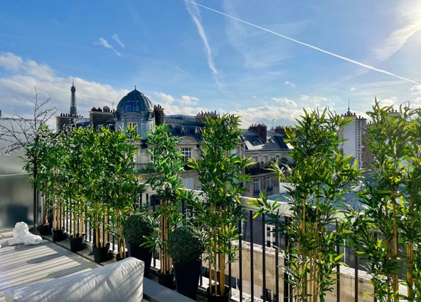 25m² terrace with Eiffel Tower view + balcony with Arc de Triomphe view 