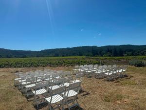 Bastide Provençale au cœur d'un domaine viticole