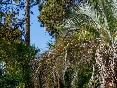 Versatile Meeting & Event Venue in the Heart of Cannes