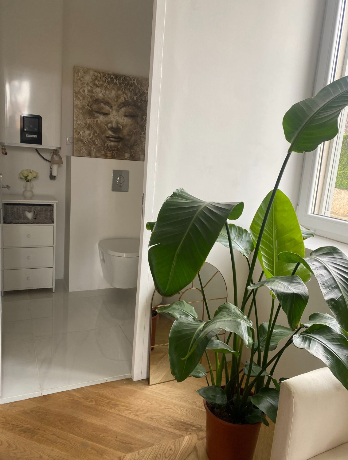 Maison moderne et cozy