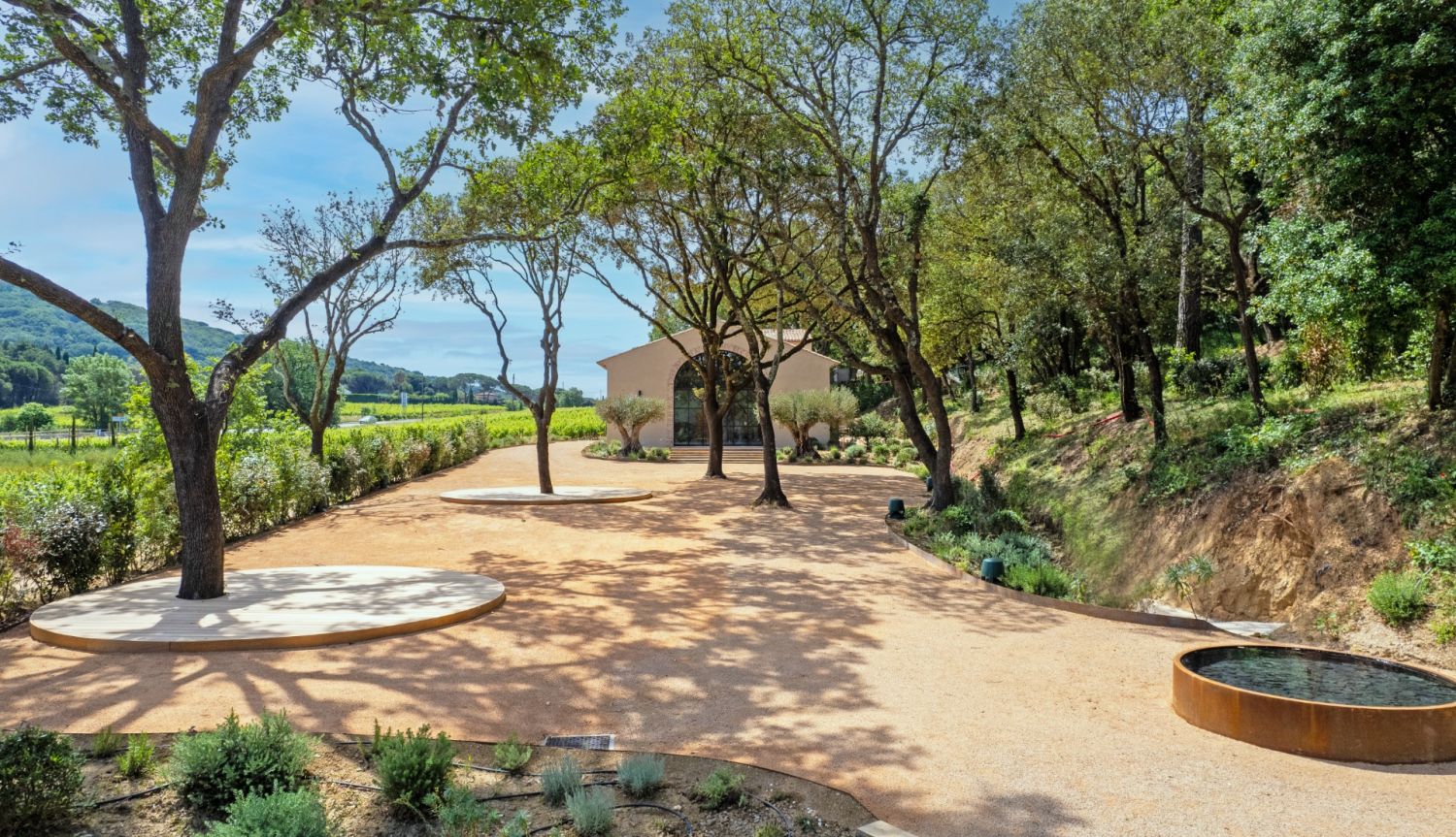 Exceptional Vineyard in the Gulf of Saint-TRopez