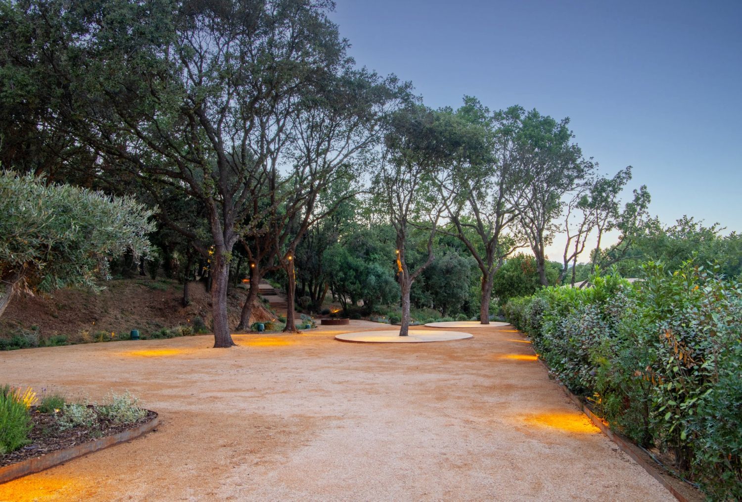 Exceptional Vineyard in the Gulf of Saint-TRopez